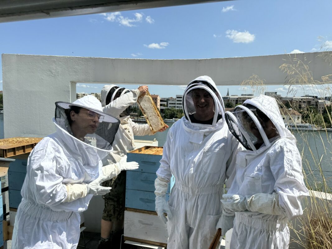 JCD laboratoires - Environnement - abeilles